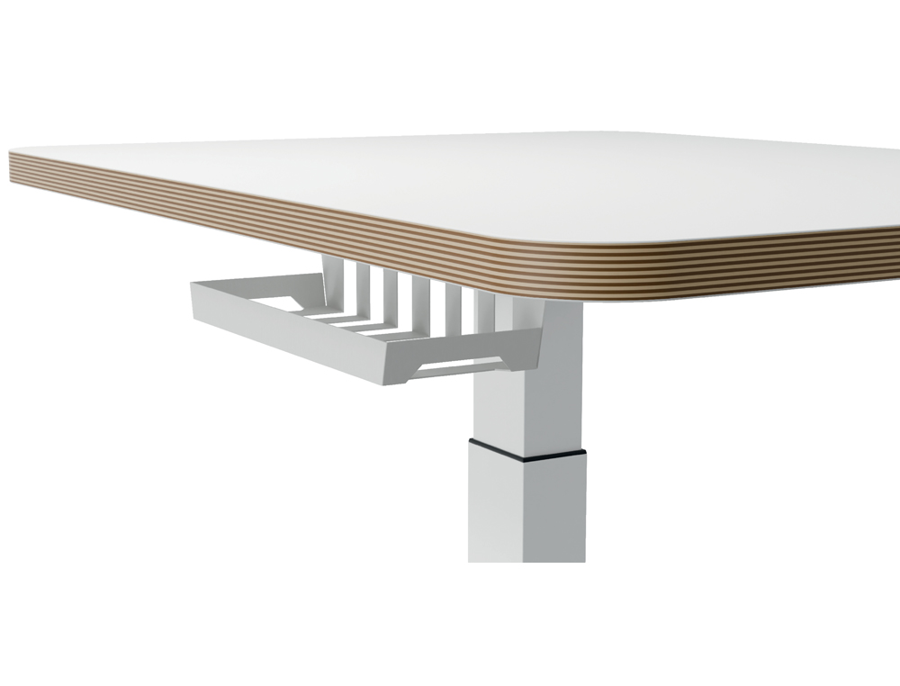 MESA LEITZ ERGO REGULABLE EN ALTURA ELECTRICAMENTE TABLERO 80X60 CM CON USB-C Y USB 5V COLOR BLANCO
