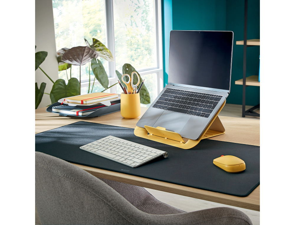 RATON LEITZ COSY INALAMBRICO DUAL 4000 DPI USB-A NANO 2,4 GHZ COLOR GRIS