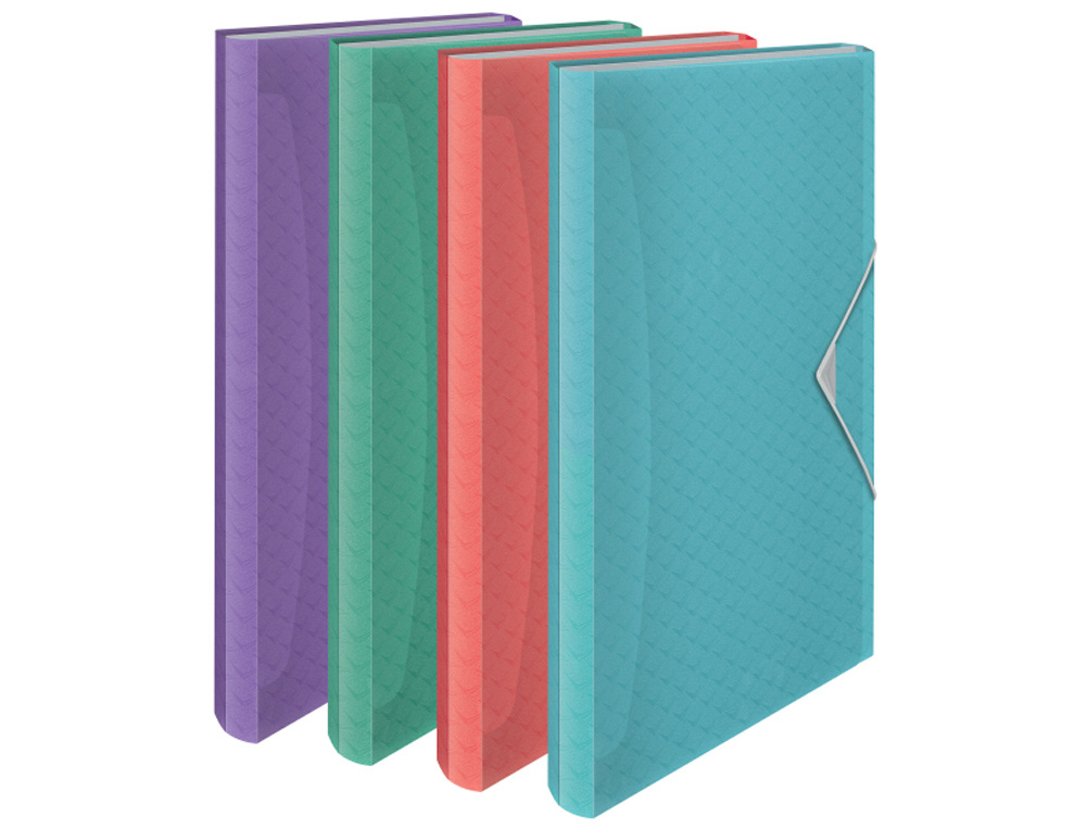 CARPETA CLASIFICADORA ESSELTE COLOUR BREEZE DIN A4 POLIPROPILENO 6 SEPARADORES COLORES SURTIDOS