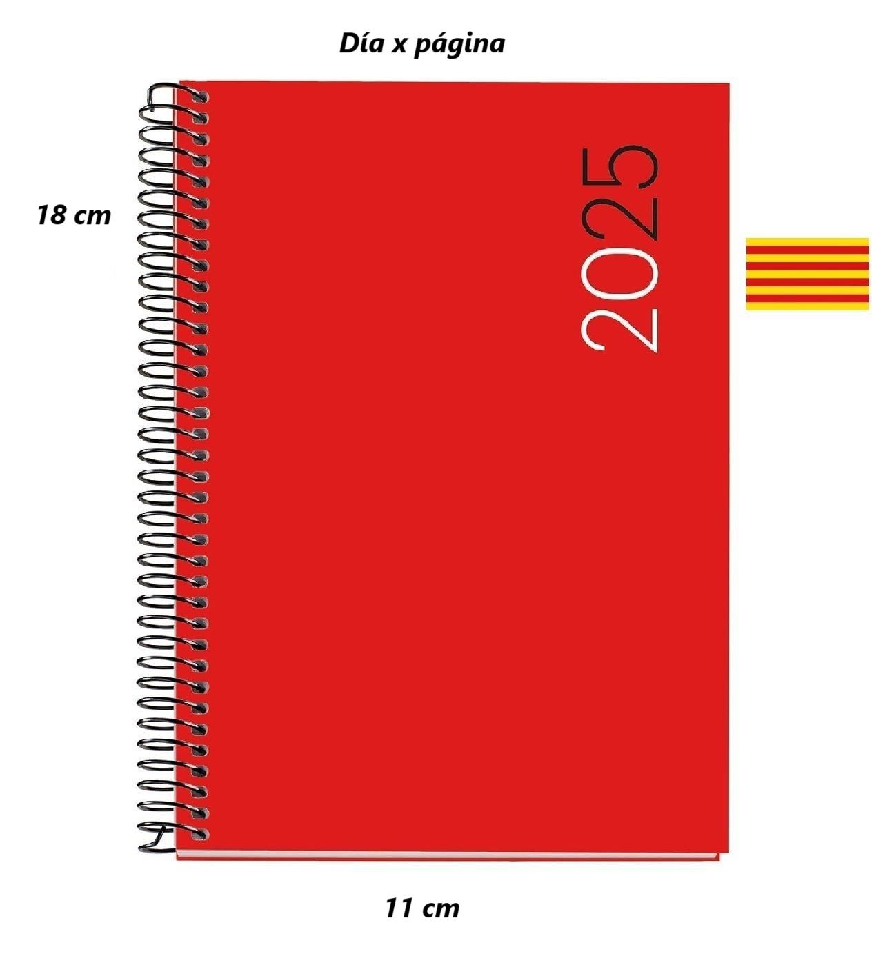  Agenda espiral activa miquelrius 117x182 d/p city roja cataln