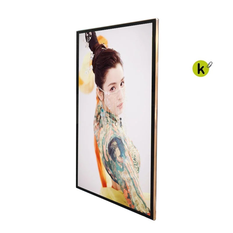 Pantalla para escaparate de 49 pulgadas